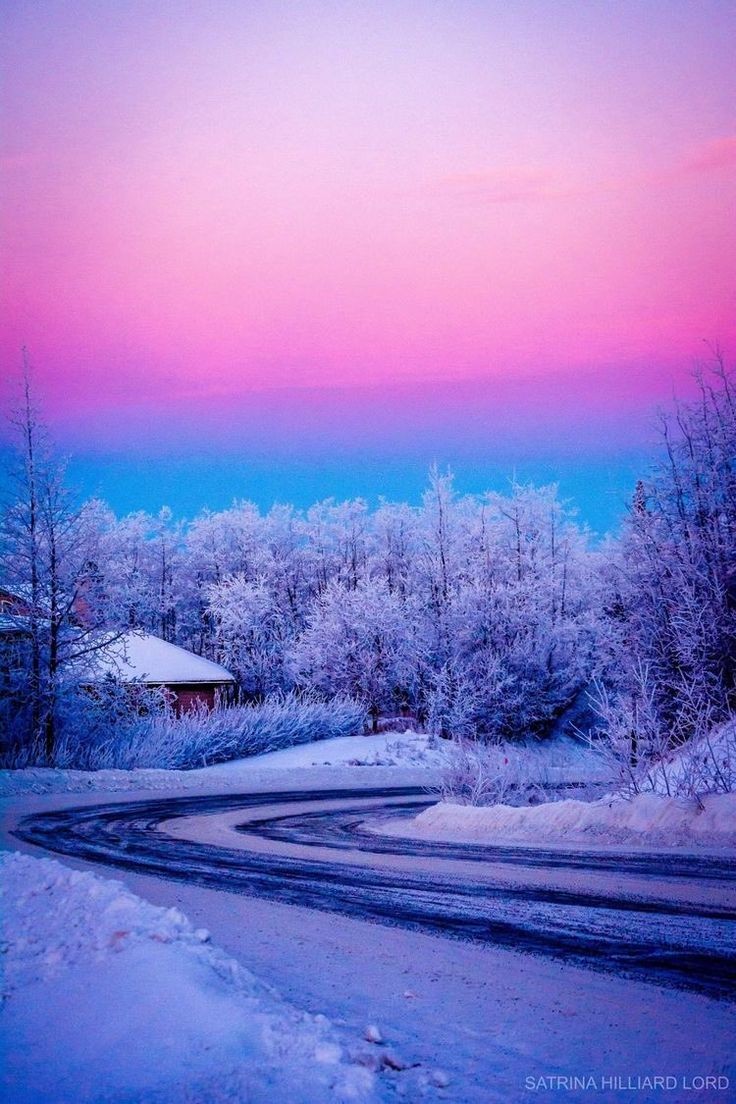 SarahiArQui's tweet photo. Good evening 💜°•°•°•°💜💜

#NaturePhotography https://t.co/n1bxnduWPK