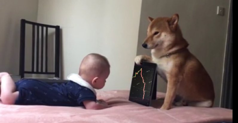 dogeofficialceo's tweet photo. Lil X: “Hey Floki, how are my crypto’s doing?”

#Doge #Dogecoin #Bitcoin https://t.co/cRVd7FwbYr