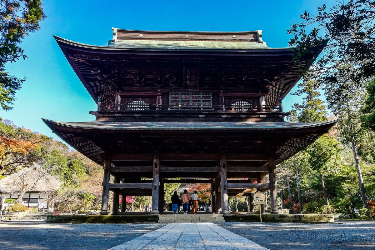 Dakiny's tweet photo. 観光名所をスマホで撮ったけれど一眼レフで撮った写真と比べて、（現地に行けば撮れる写真は）スマホでも十分だなと思った。
その１：円覚寺 山門（三門）
左：Huawei P20light
2021年12月9日撮影
右：Nikon D750 + Nikon AF-S NIKKOR 28mm f/1.8G
2018年12月8日撮影
#Huwaei #P20light #D750 #28mmF18 https://t.co/ZUWbqre3Jd
