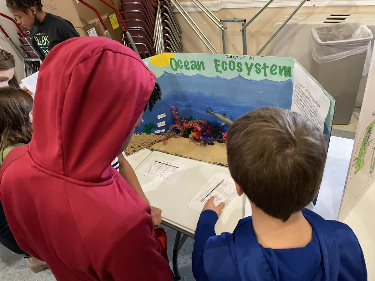 GastonCindy's tweet photo. 4th grade Ecosystem museum had Ss teaching about energy, food webs, and threats…with visitors from other grades assessing and giving feedback. Amazing learning happening! #JoyatSchool #PaideiaLearning #CSLA_STEM @WeAreCSLA @kngodbout https://t.co/gs24w4tzNk