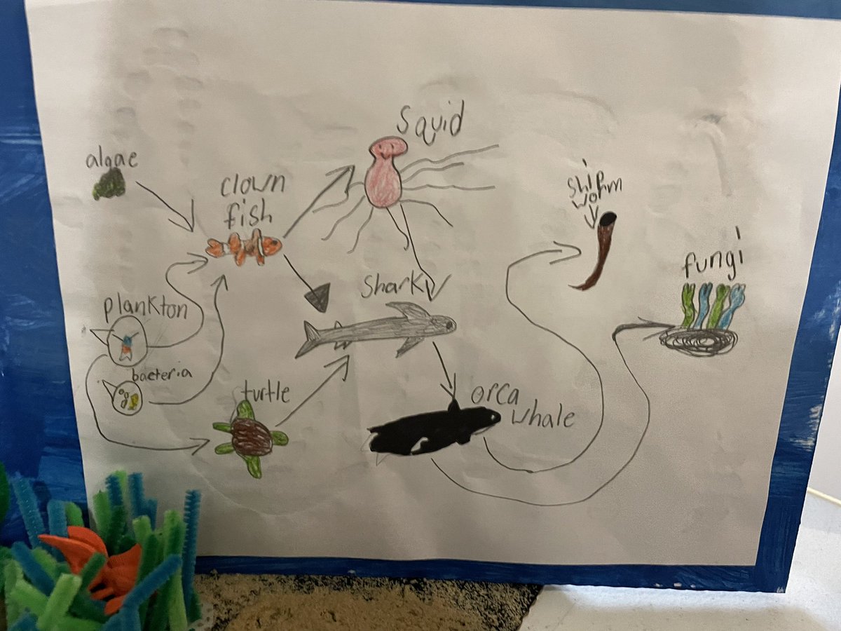 GastonCindy's tweet photo. 4th grade Ecosystem museum had Ss teaching about energy, food webs, and threats…with visitors from other grades assessing and giving feedback. Amazing learning happening! #JoyatSchool #PaideiaLearning #CSLA_STEM @WeAreCSLA @kngodbout https://t.co/gs24w4tzNk