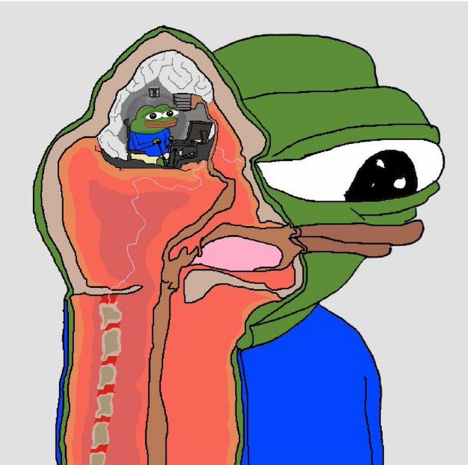 Body: All your coins are going to 0 
Brain: this time isn't different