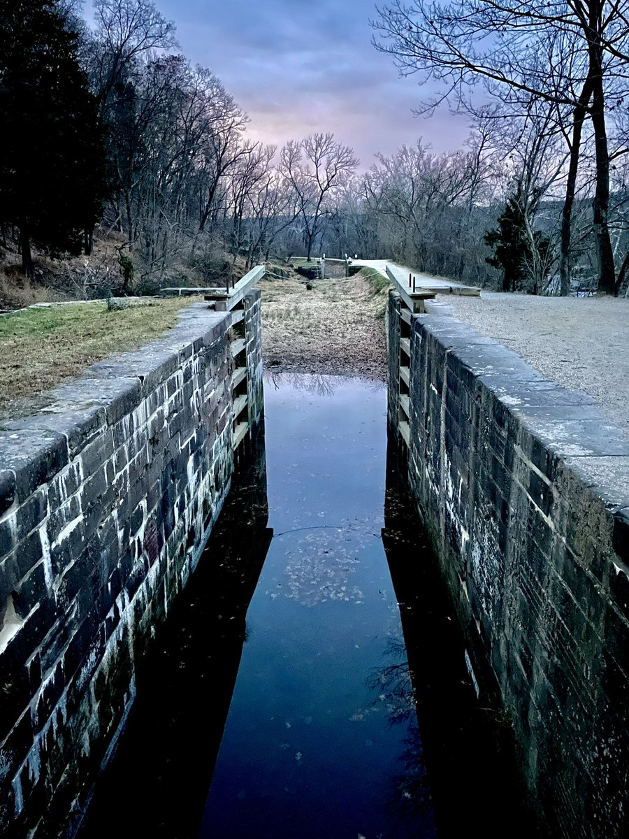 Chris Rief tweet media