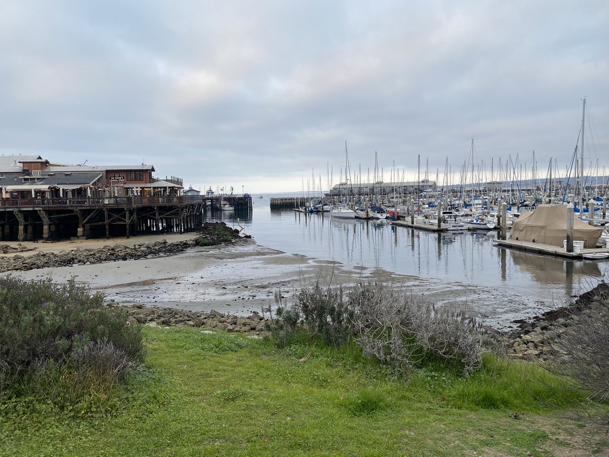 HellodeskHQ's tweet photo. The wharf at low tide is a totally different landscape. Love seeing all the different aspects of Monterey.
#hellodeskmonterey #coworking #digitalnomads #coworkingspaces #distancework #monterey https://t.co/03CexTDTJp