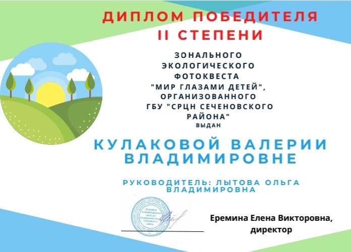 srcng20's tweet image. #mspno Диплом победителя 2 степени зонального экологического фотоквеста "Мир глазами ребенка"