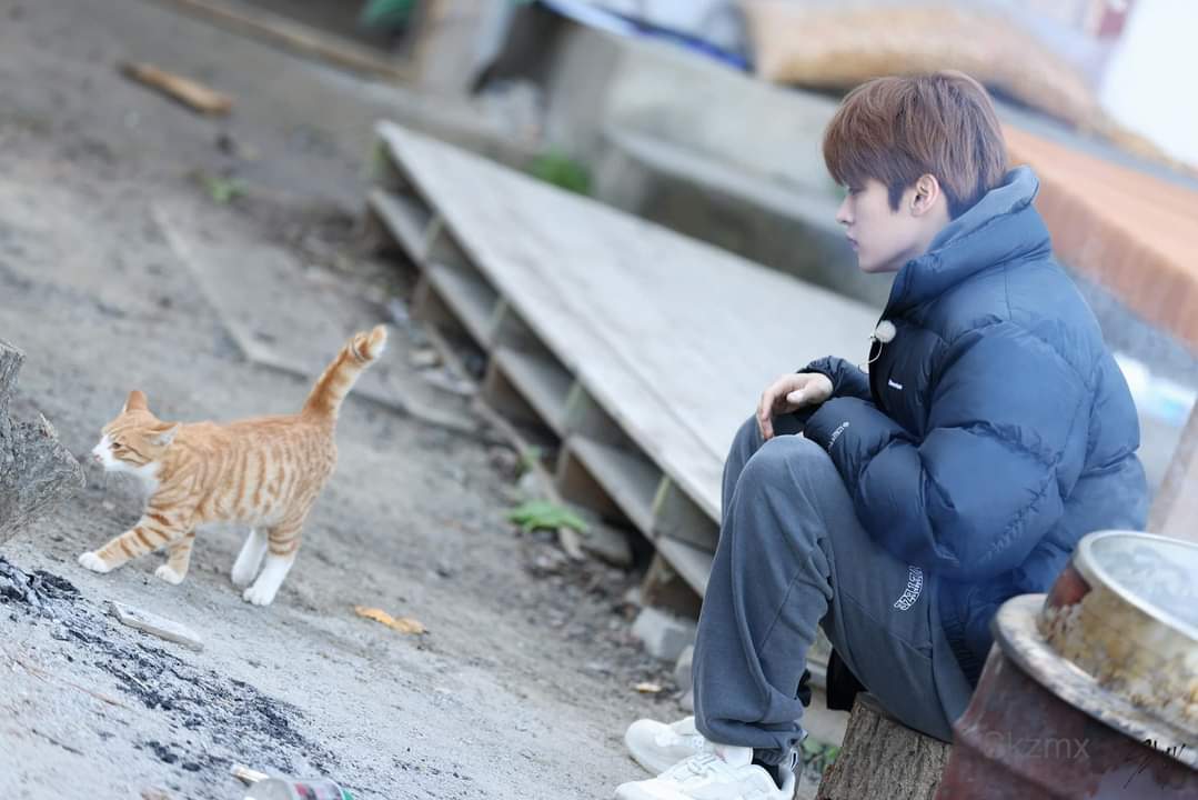 BbokAri152000's tweet photo. El bello papá de 3 gatos<33
I vote #straykids for Worldwide Fans’ Choice Top 10 #MAMAVOTE https://t.co/fXYS94cKCX