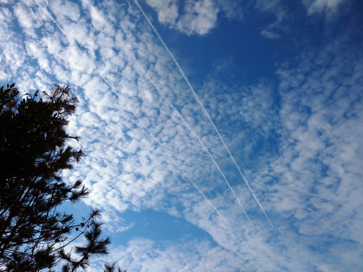 4springma5's tweet photo. 見上げた空に3本の飛行機雲✈️𓈒𓂂𓏸
映画館には行けないけどいい事あるといいな...
春馬くん...
#天外者特別記念上映 
#天外者公開一周年特別上映 
#いまそら https://t.co/mmgRuSOlIi