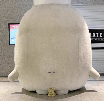 画像 / Picture