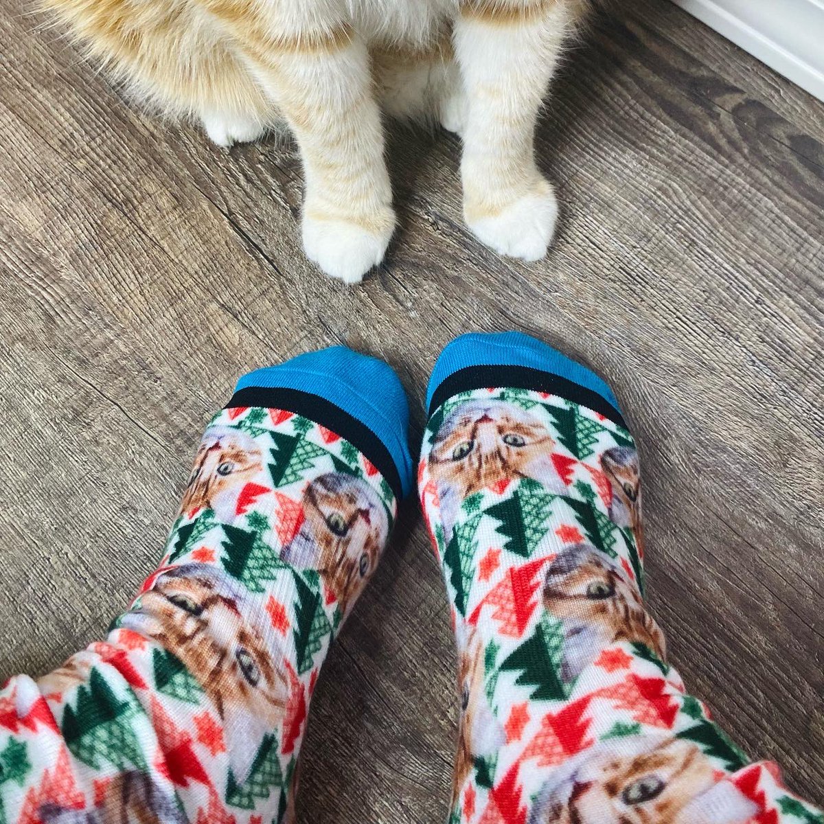 CrazedRayRay's tweet photo. Guys, today is the very last day to order custom socks from @DivvyUpSocks for Christmas delivery! You can order any pet, human or wording on your sock of choice and they make the perfect holiday gift! https://t.co/Kiq5P4vCdh #divvyup https://t.co/94EbRoueny