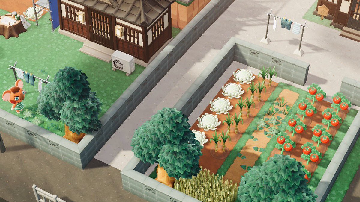 dojoaoi's tweet photo. そのこ島途中経過🌳

#どうぶつの森　#AnimalCrossing 
#ACNH  #そのこ島 https://t.co/ZD8jkKr0Qj