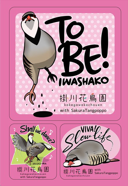 ウワーッ! いつのまにか掛川花鳥園のイワシャコアイテム色々増えてる!! 12月はイワシャコ強化月間だって!!
https://t.co/HeKYQqxn9z 