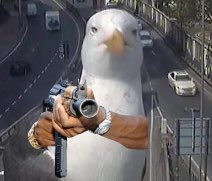 NolanRutherford's tweet photo. Me:
The @duolingo bird: Do your fucking Spanish lessons. https://t.co/lqdroKTwzW