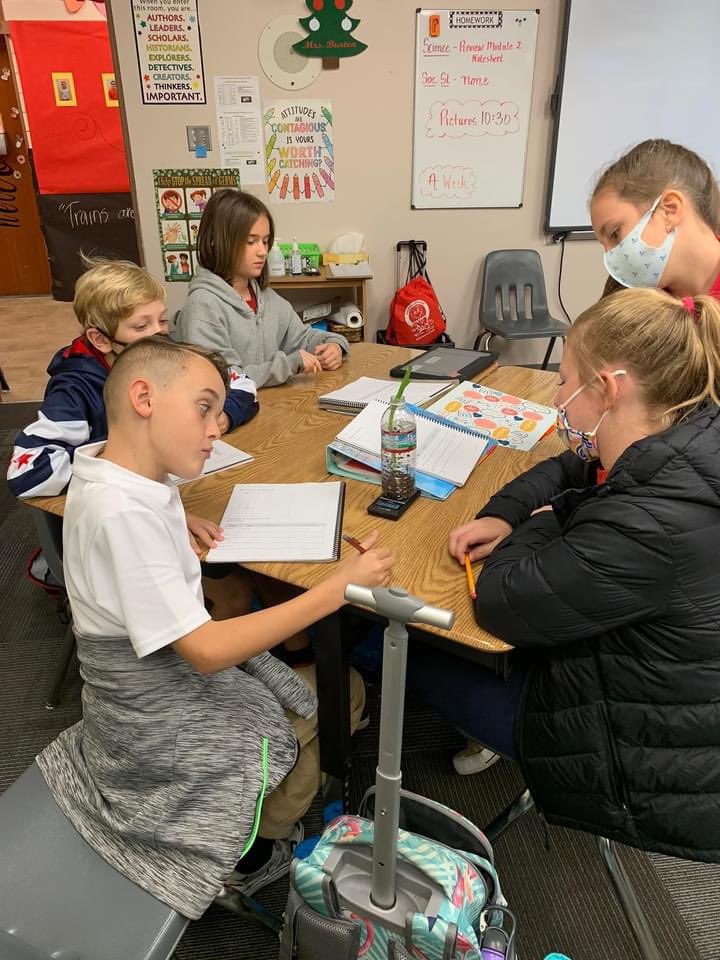 SCPPS_NES's tweet photo. Mrs. Burton’s science classes are learning about Ecosystems. The students planted green onions to investigate the question: What do plants need to grow? https://t.co/ugRuqOnBmw