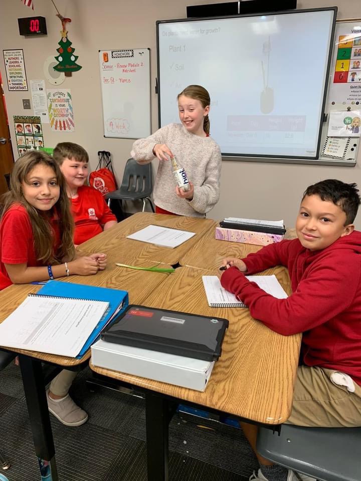 SCPPS_NES's tweet photo. Mrs. Burton’s science classes are learning about Ecosystems. The students planted green onions to investigate the question: What do plants need to grow? https://t.co/ugRuqOnBmw