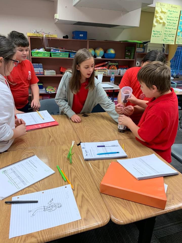 SCPPS_NES's tweet photo. Mrs. Burton’s science classes are learning about Ecosystems. The students planted green onions to investigate the question: What do plants need to grow? https://t.co/ugRuqOnBmw