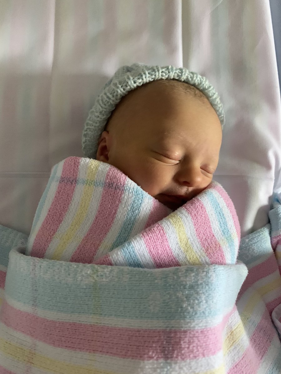 Tiger Webb tweet media