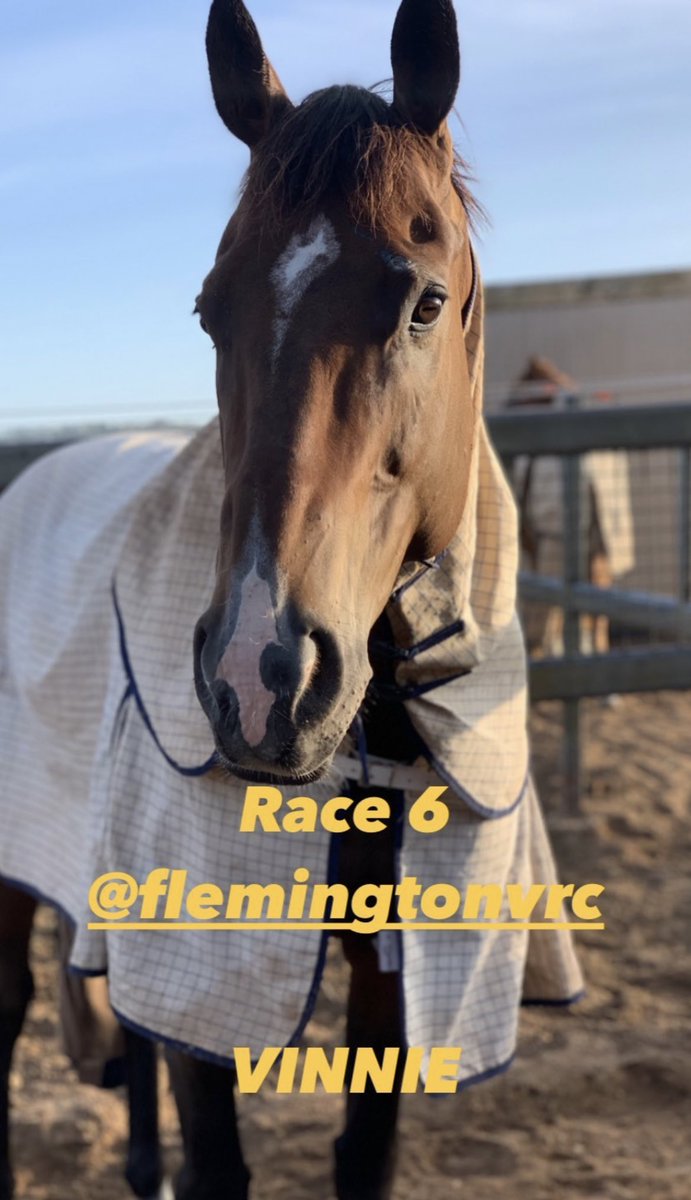 FriendsofMrEd's tweet photo. Goodluck Vinnie! @FeekRacing https://t.co/UVNpOIec72