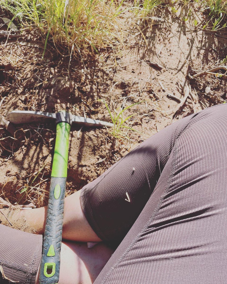 AliceintheAlice's tweet photo. Buffell busting zen on Lhere Mparntwe #lheremparntwe #toddriver #mpartntwe #alicesprings https://t.co/vygUpl1cRc