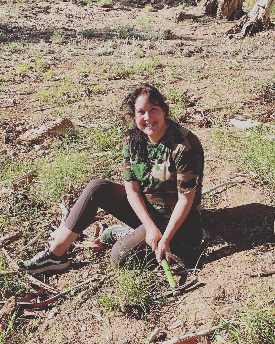 AliceintheAlice's tweet photo. Buffell busting zen on Lhere Mparntwe #lheremparntwe #toddriver #mpartntwe #alicesprings https://t.co/vygUpl1cRc