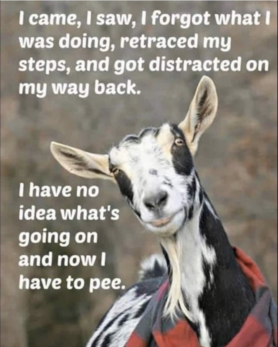 Just saw this on Insta - total truth.  😂😂