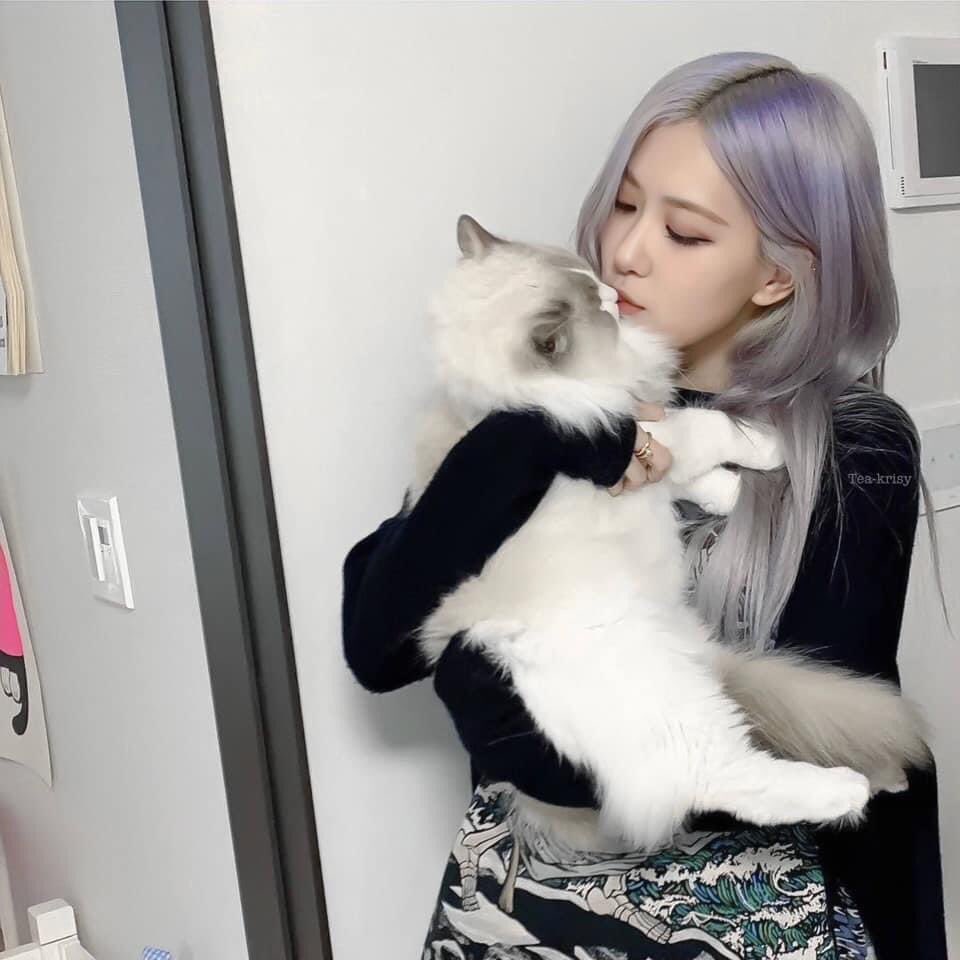 follwo chéo để em đủ 100flw với ạ😢
Mng cố gắng vote nhé hôm này là ngày cuối rồi 💪
I vote #MAMAVOTE #rosé