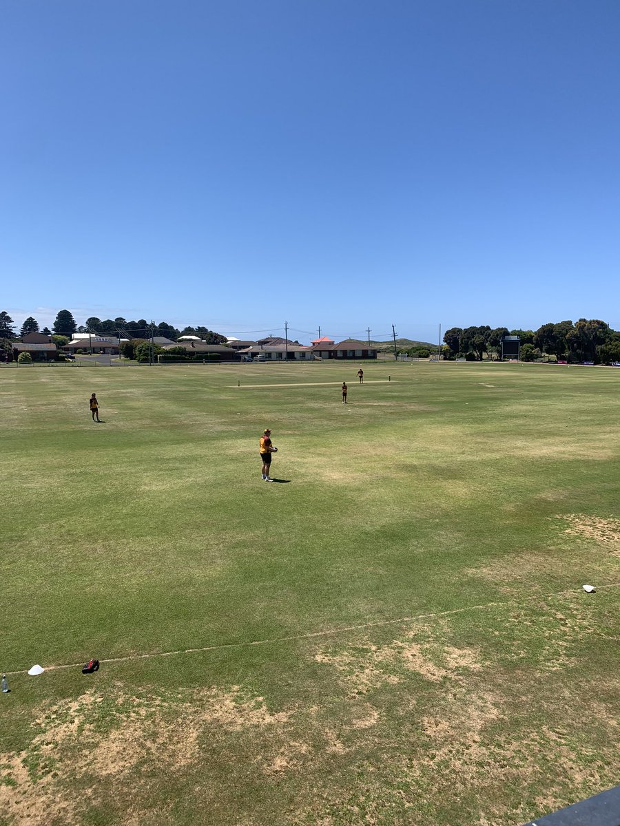 Alex Strauch tweet media