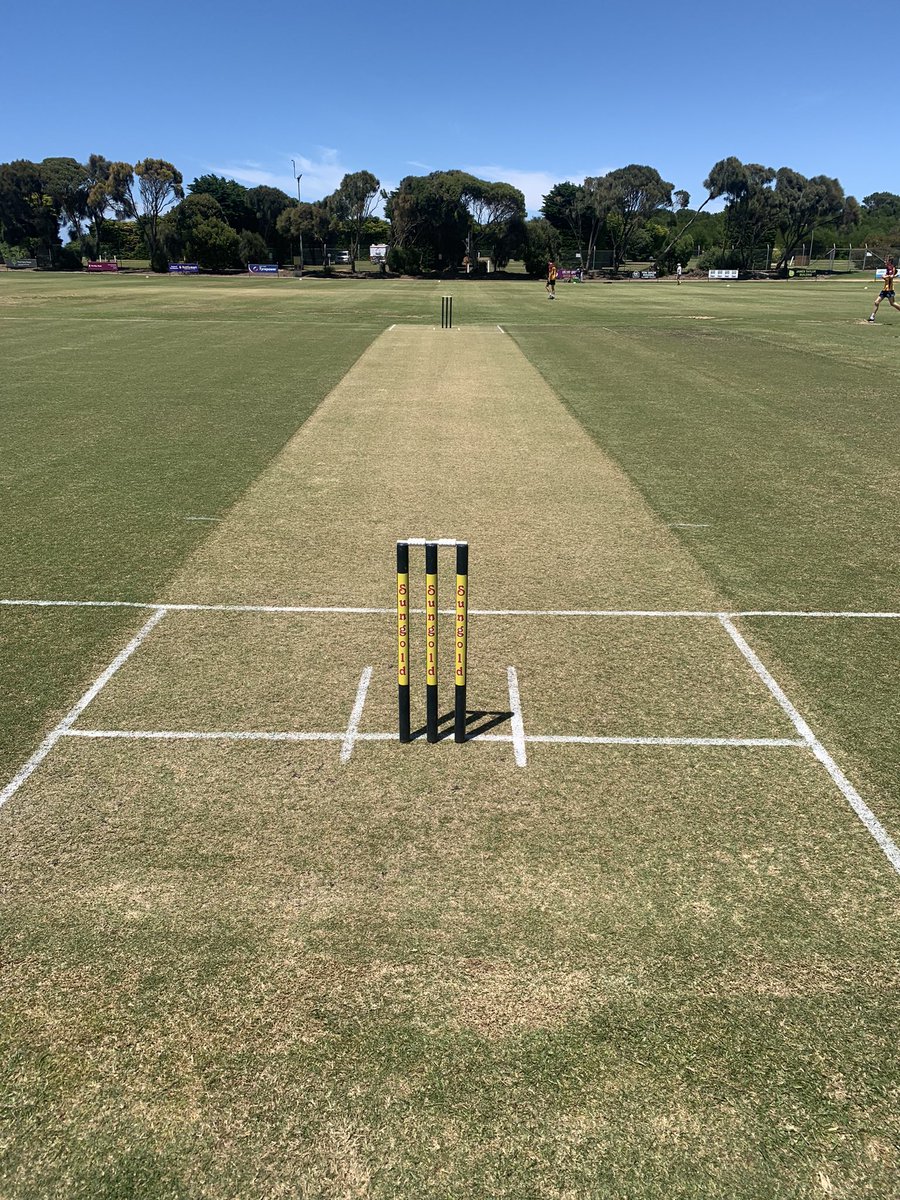 Alex Strauch tweet media