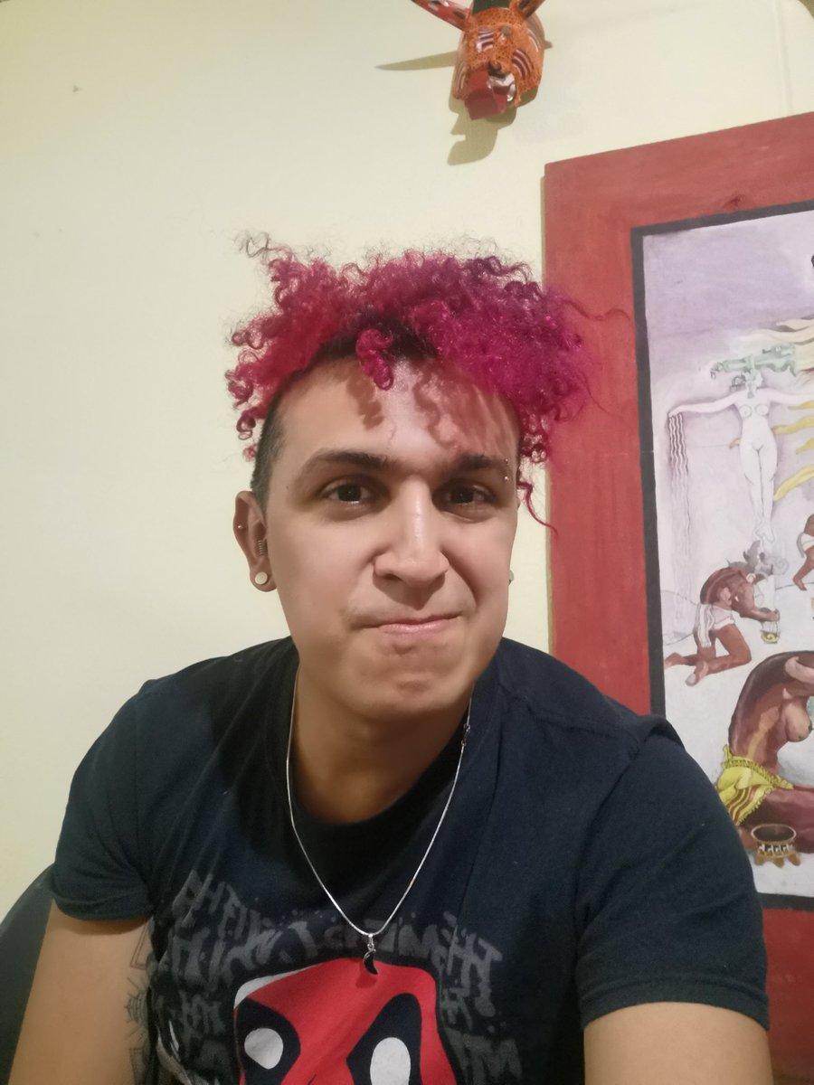 Cholopo's tweet photo. Querido diario, me pinte el pelo y ME ENCANTAAAAAAAA! #magenta #colocho #curls #goldielocks #pelazooooo https://t.co/fgXfelhlsy
