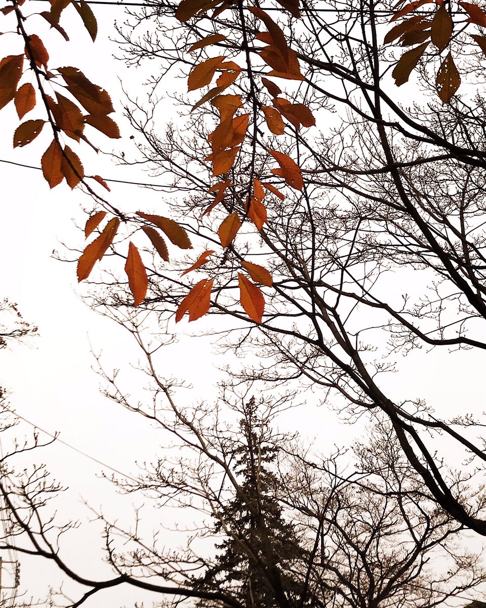 #winter #photography #nyc