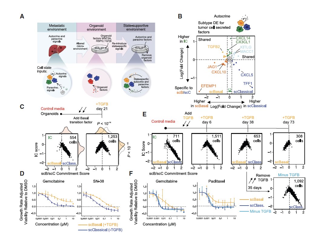 ElementoLab's tweet photo. Fascinating use of single-cell RNAseq in metastatic biopsies and matched tumor organoids to identify diversity of tumor cell states and the role of tumor microenvironment in modulating this diversity. Great work by @shaleklab! https://t.co/PFkttO4YAE https://t.co/LQNcP40QH1
