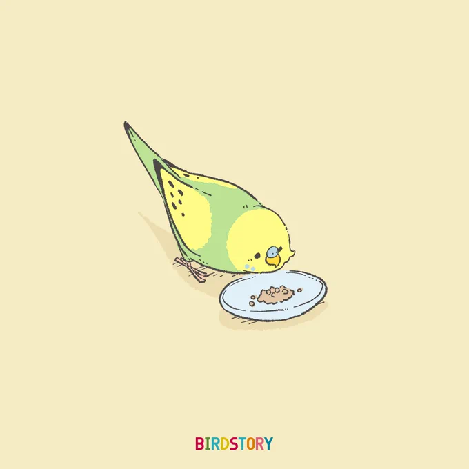 おはようございます。
本日は12月11日、胃に良いの語呂合わせから、胃腸の日とのことです🐣
#BIRDSTORY 
#セキセイインコ 