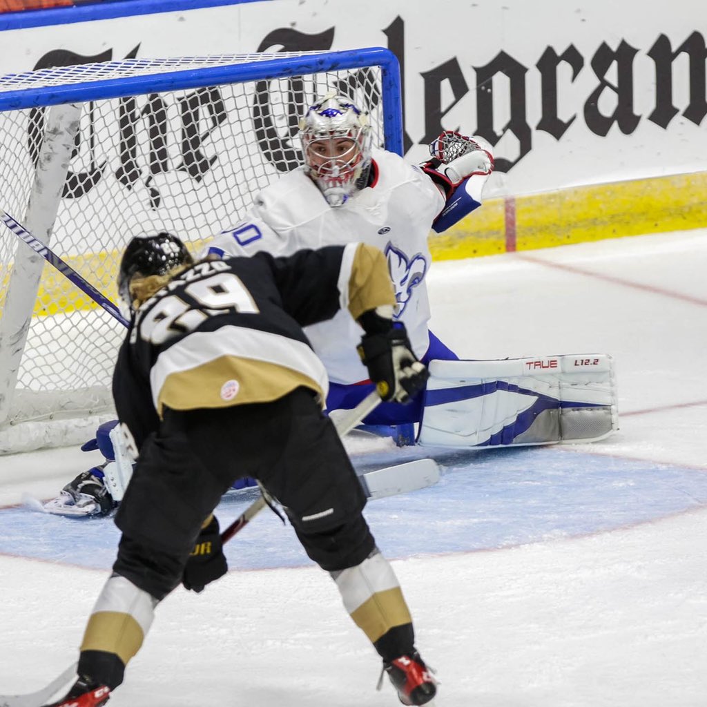 Lions de Trois-Rivières tweet media