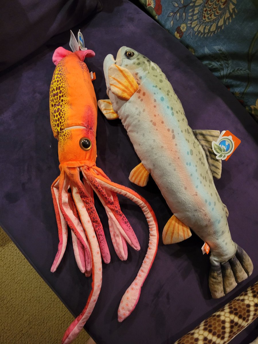 KarenLittle1301's tweet photo. Seattle Thunderbirds vs Kamloops Blazers and it's Teddy Bear toss night... We thought we'd bring a bit of the flavor of the PNW to the rink!! ๐๐๐๐ #GoSeattleThunderbirds #fishtoss #kraken https://t.co/MyzWE23kKF
