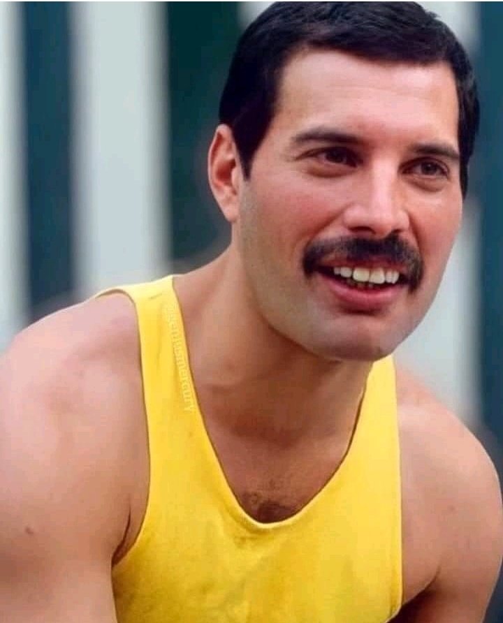 PatlovesFreddie's tweet photo. Using only gifs, what do you feel when you see our beautiful Freddie Mercury? 🤔😍 https://t.co/UKvJEzvU6S