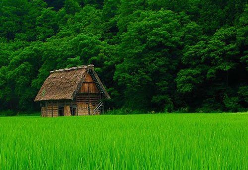 zn_ebrahimi's tweet photo. I wish I could fly to a remote place in which there is no war ,lie and other bad things.

#SaturdayVibes https://t.co/E94HE6k1Rs