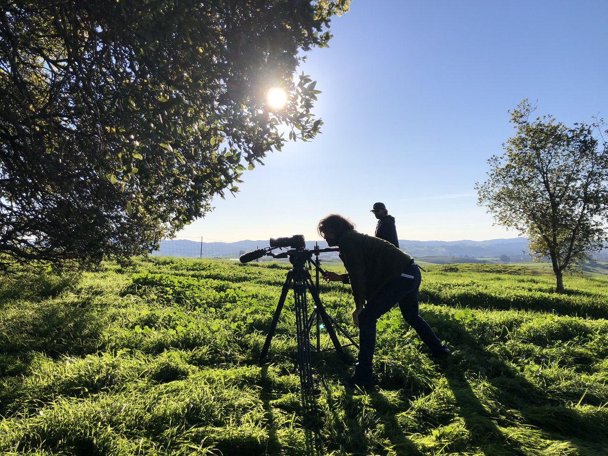 cjcarey13's tweet photo. Excited to share a video about our @WCSAdapts #inoculant-supported #restoration project soon! It’s a mixture of “why do we care” and “how do you do it”. #mycorrhizas #riparian #climatesmartconservation @PointBlueConSci @KristenDybala https://t.co/iqWaybeg8T