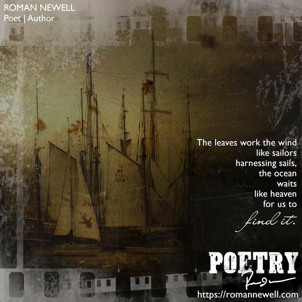 dajc_thoughts's tweet photo. The leaves work the wind
like sailors
harnessing sails,
the ocean
waits
like heaven
for us to
find it.
by: Roman Newell
https://t.co/if9rQ2cAMz
#readandfollow #authorstoreadandfollow #worthreading #poetrycommunity #poetry #darkpoetry #poetrylovers #readingcommunity https://t.co/qXHh4wxdXu