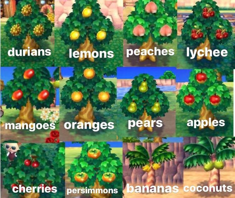 7INTENDO's tweet photo. we used to be a country. a real country. https://t.co/f2miym9WAq
