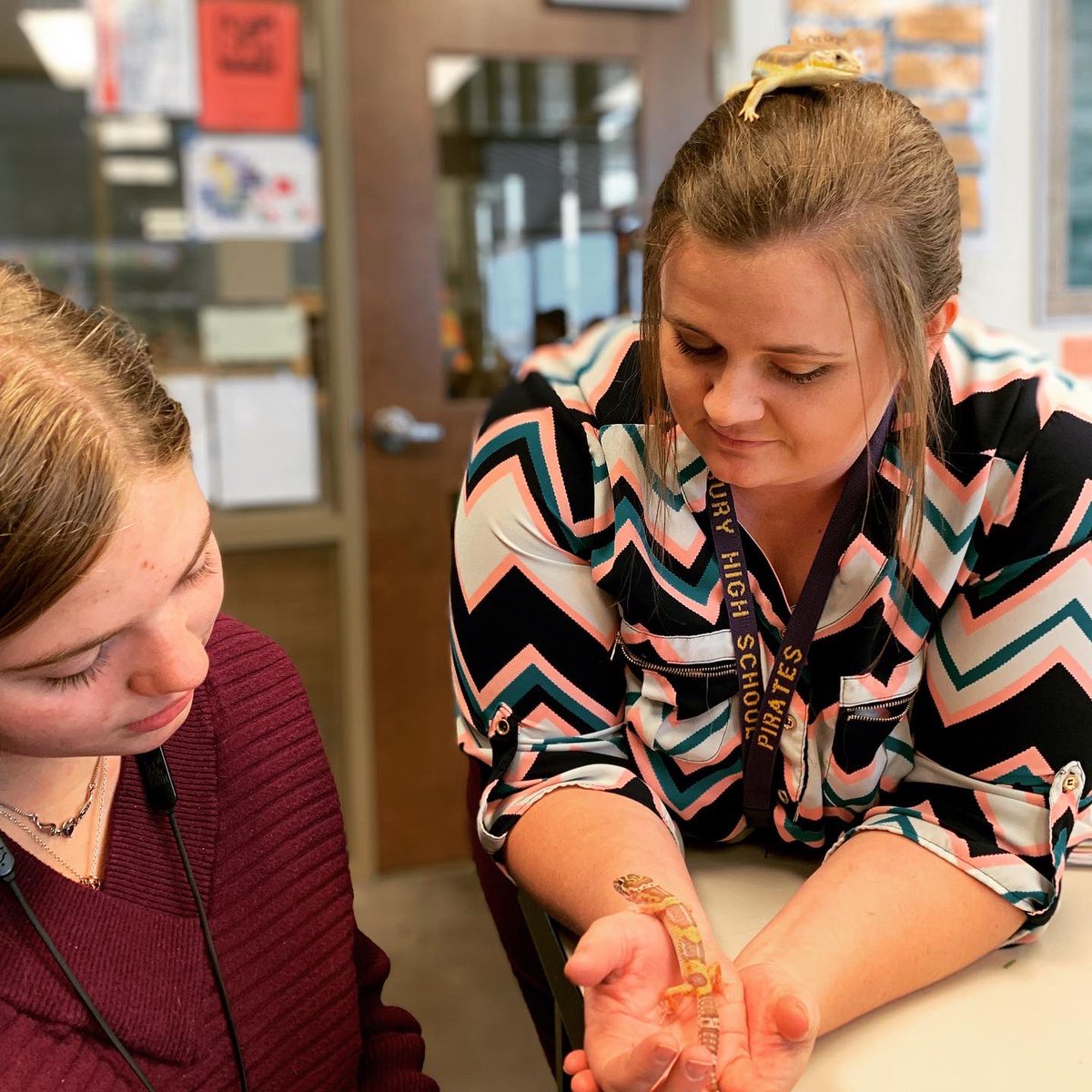 Rango (Schneider Skink), Echo (Iquana) and Randall (Leopard Gecko) were all great companions to students this week as the learned about various reptile species. Next week is our last week of Small Animal Management, and we plan to end our class with a special guest! #gisdgr8ness