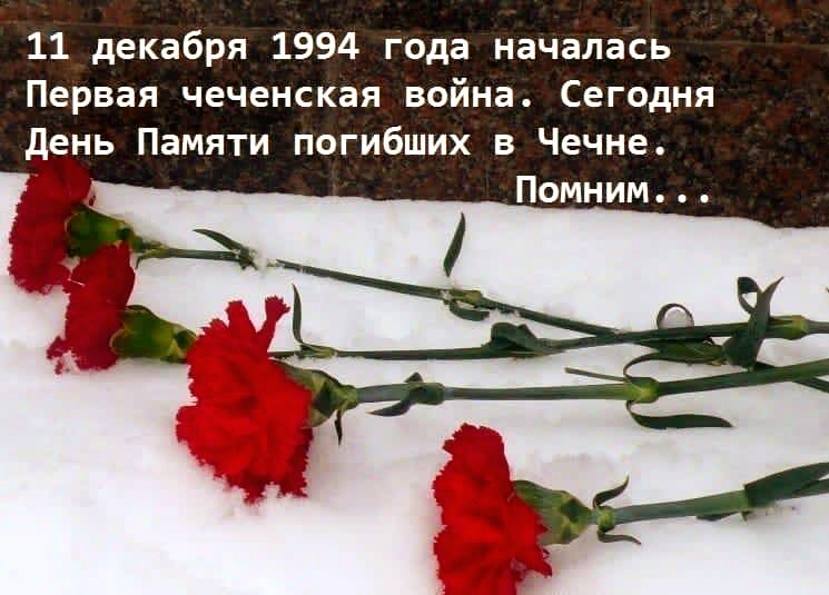 platonirk tweet picture