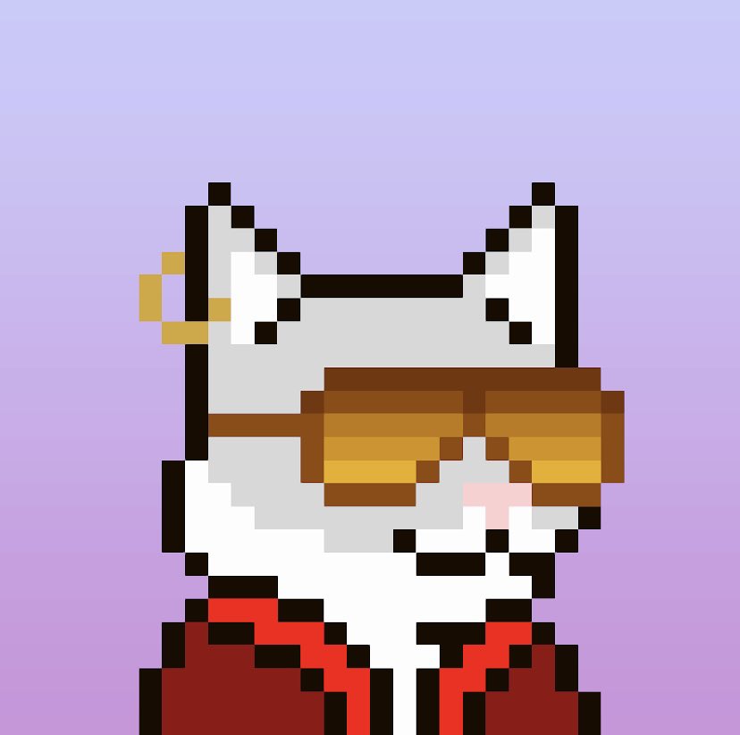 GeeFigi's tweet photo. @BOONSQUAD676 @CryptoMories @BoonjiProject @CryptoZunks @CryptoysHQ @CryptoysHQ for sure bro. Show off the kitty!! https://t.co/Y3LL81zfmw