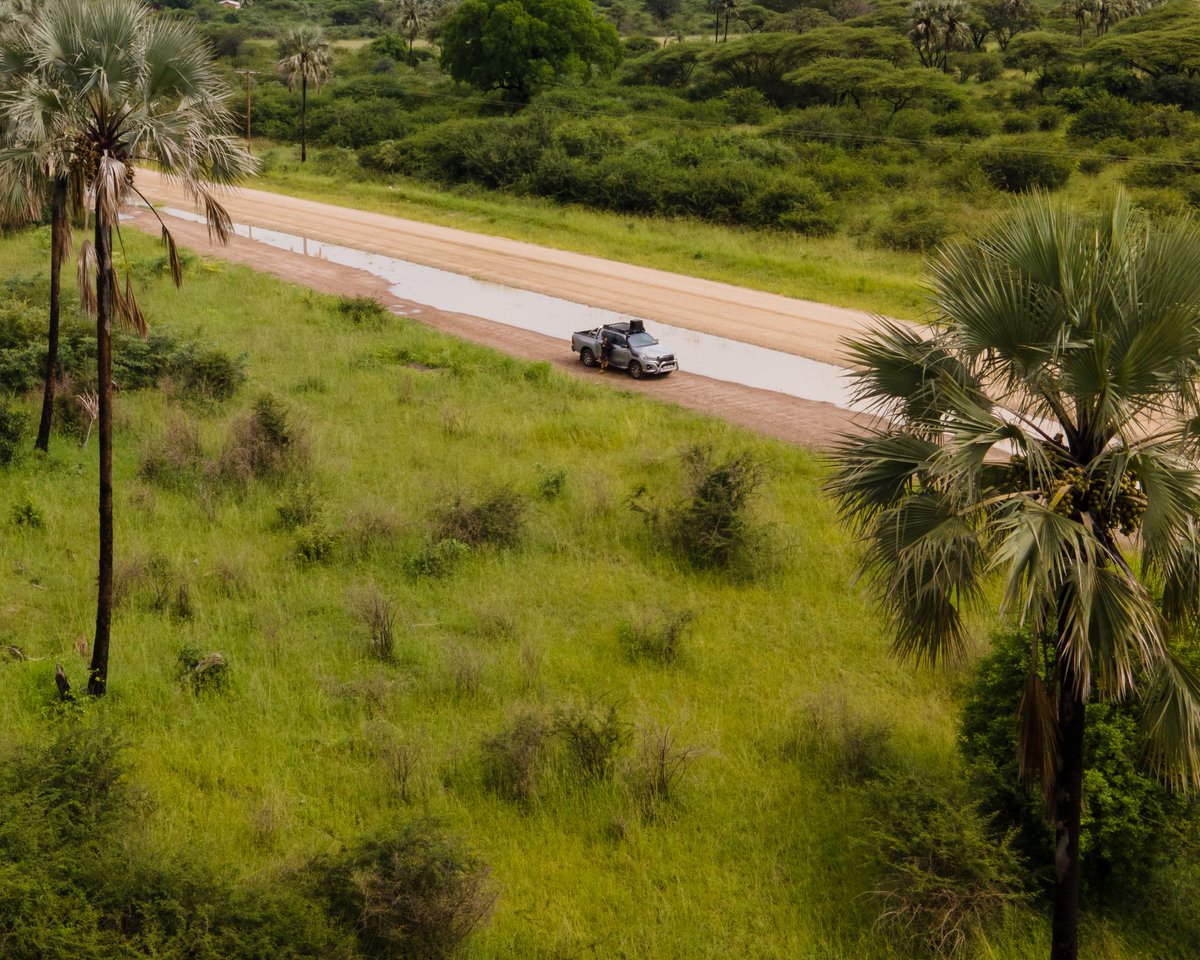 two67shooter's tweet photo. One of my favourite things about exploring is when you stop seeing telephone and power lines #lookingforstars #exploreafrica #two67shooter #Botswana #okavangodelta #palmtrees https://t.co/rWzH0sY0rs