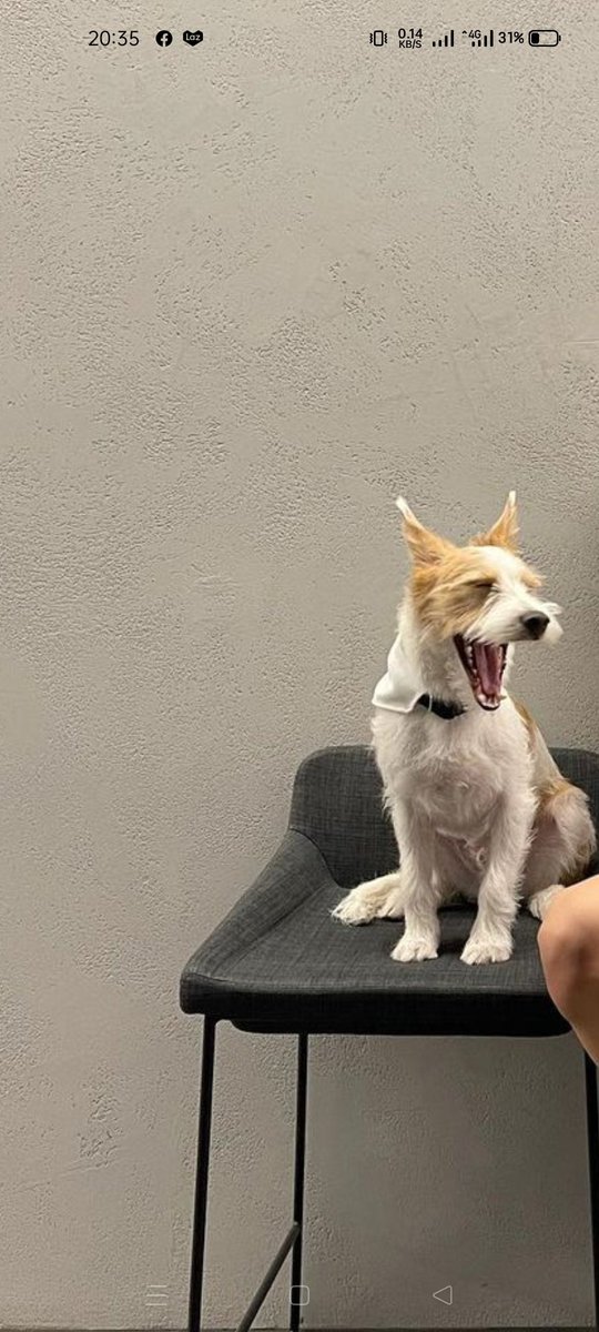 đẩy lẹ mấy bà ơi nước rút rồi 🙏🙏🙏 Cùng Làm Nên Lịch Sử Vote 😜
#MAMAVOTE #rosé