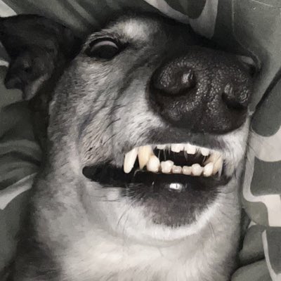 RLetourneau's tweet photo. #NewProfilePic https://t.co/OKuccoiv47