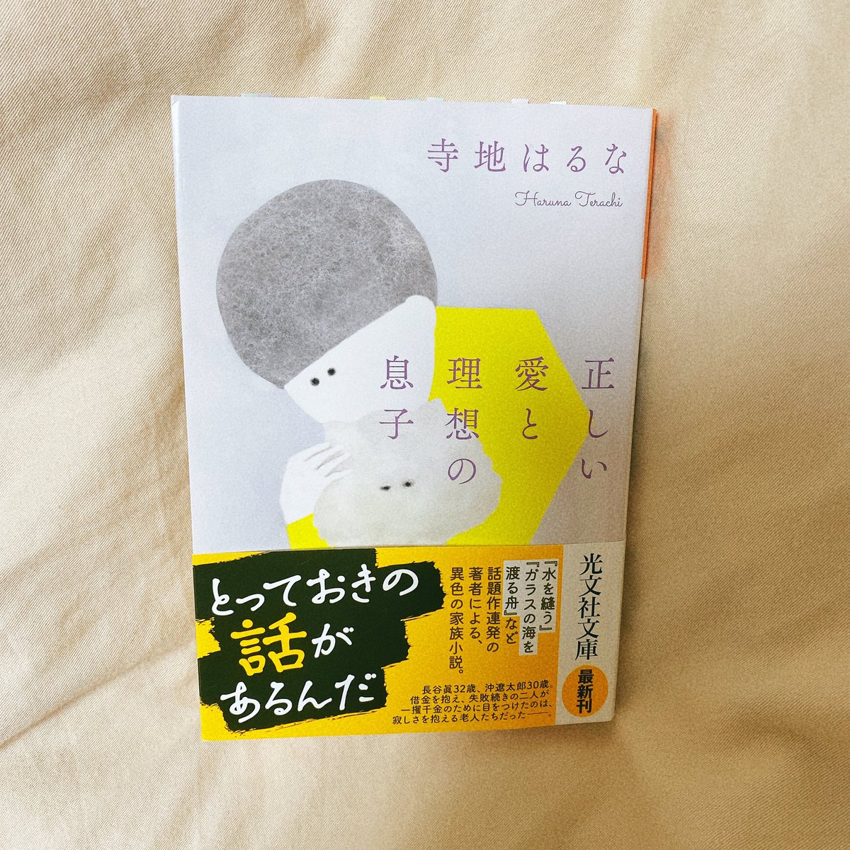理想の息子 感想 考察 最新情報まとめ みんなの評価 レビューが見れる ナウティスモーション