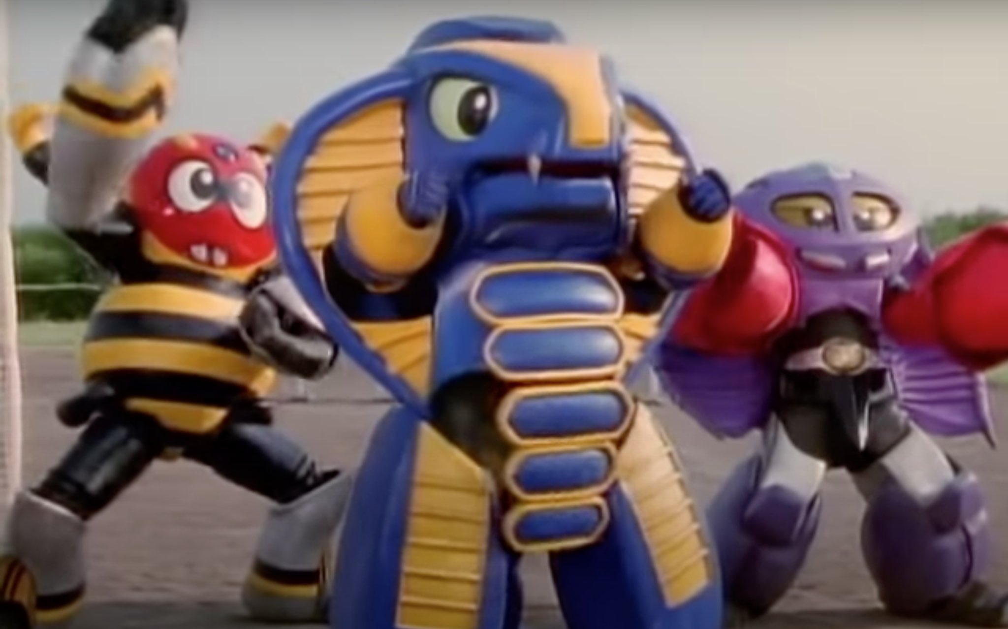 コブランダー & ガニラン セット | HLJ.co.jp
