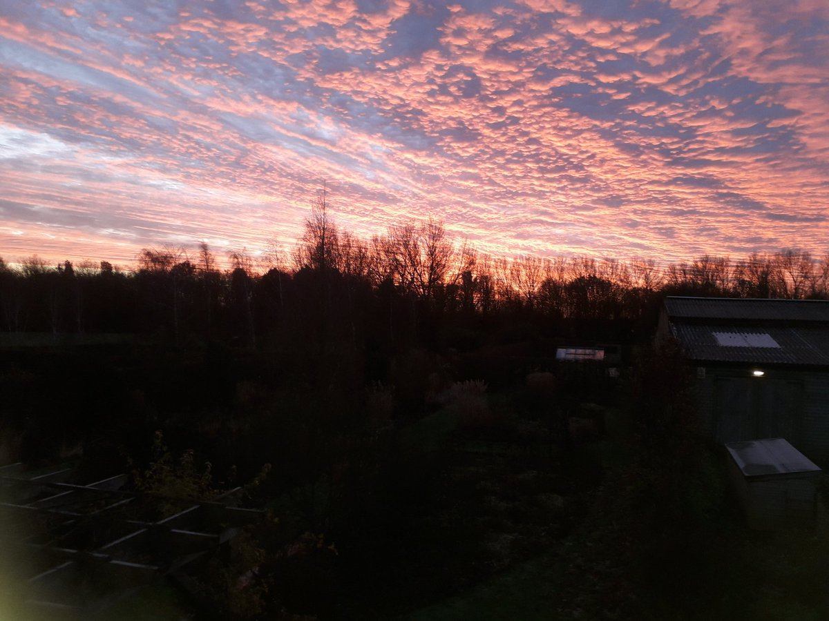 PryorFrancis's tweet photo. Fenland dawn. https://t.co/XKjDiTP8Tf