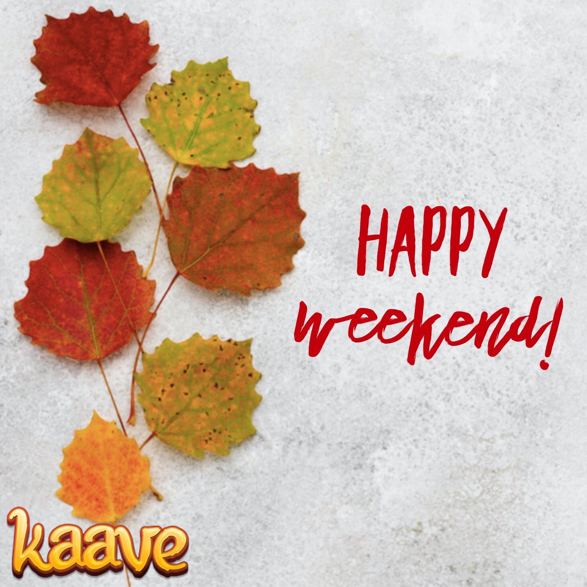 kaaveapp's tweet photo. Happy weekend!
#kaave #gloria #isabel #jasmine #auntsophie #judith #lorenzo #baroness #zaliha #kaaveapp #turkishcoffee #helloweekend #coffee #coffeetime #coffeelover #goodmorning https://t.co/v6gcjS1GkW