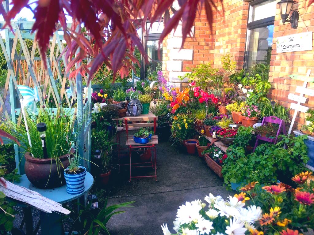 Hugh_Cassidy's tweet image. Morning everyone, some photos of the courtyard from across the seasons to cheer a winter’s day. Wish me luck as repairs from the storm will commence, have a lovely one there 😃🌿🍅🍄 #CheerAWintersDay