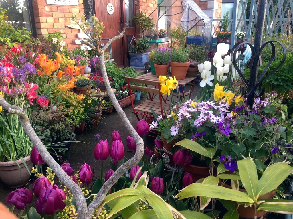 Hugh_Cassidy's tweet image. Morning everyone, some photos of the courtyard from across the seasons to cheer a winter’s day. Wish me luck as repairs from the storm will commence, have a lovely one there 😃🌿🍅🍄 #CheerAWintersDay